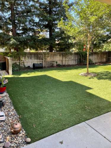 Beautiful Large Home in Northwest Davis 2