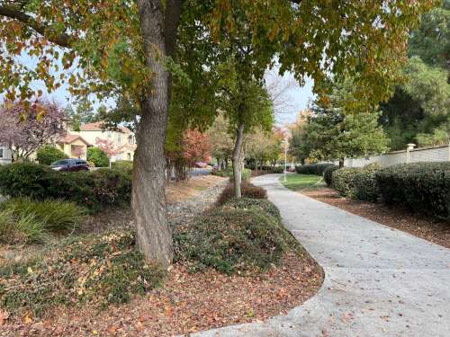 Beautiful Large Home in Northwest Davis 1