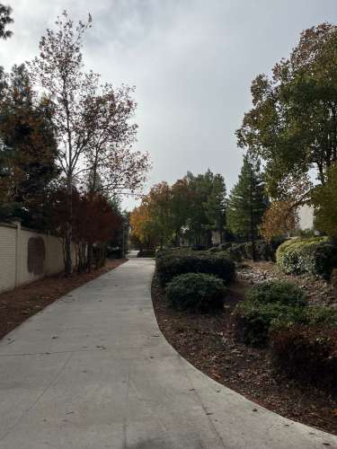 Beautiful Large Home in Northwest Davis 2