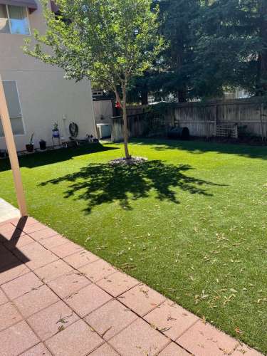 Beautiful Large Home in Northwest Davis 1