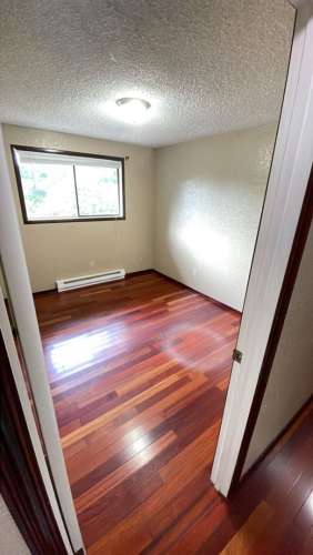 Preleasing Now! Split-level 4 Bedroom + 3 Bath House 1 1