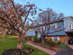 1 Bedroom 1 Bathroom with all utilities included and own entrance