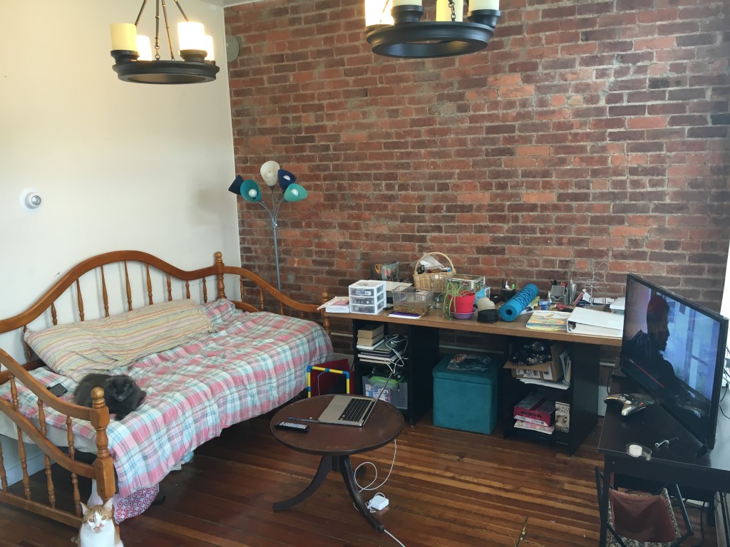 162 Main St Oneonta, NY 13820 Oneonta, New York