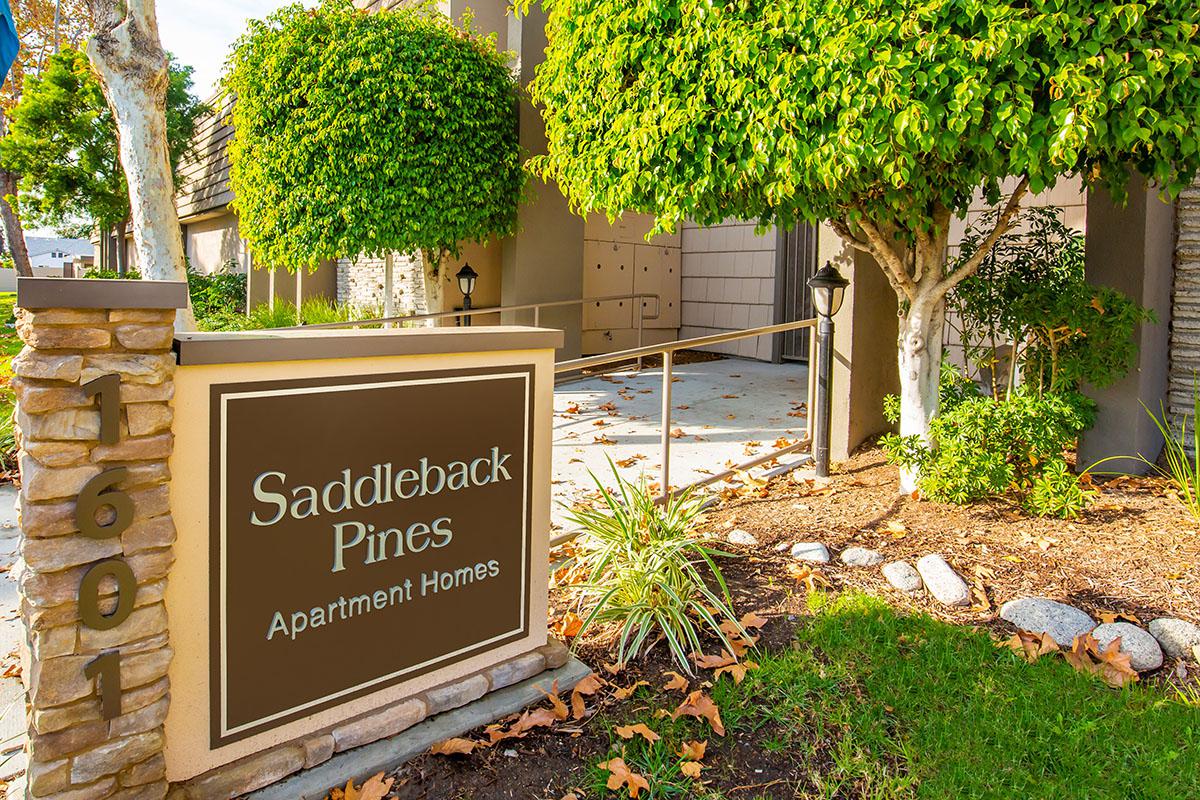 √ Saddleback Pines Apartments