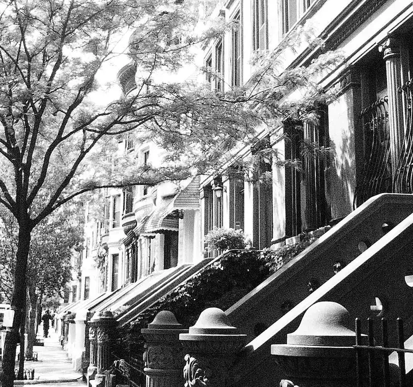 Harlem Hideway Garden