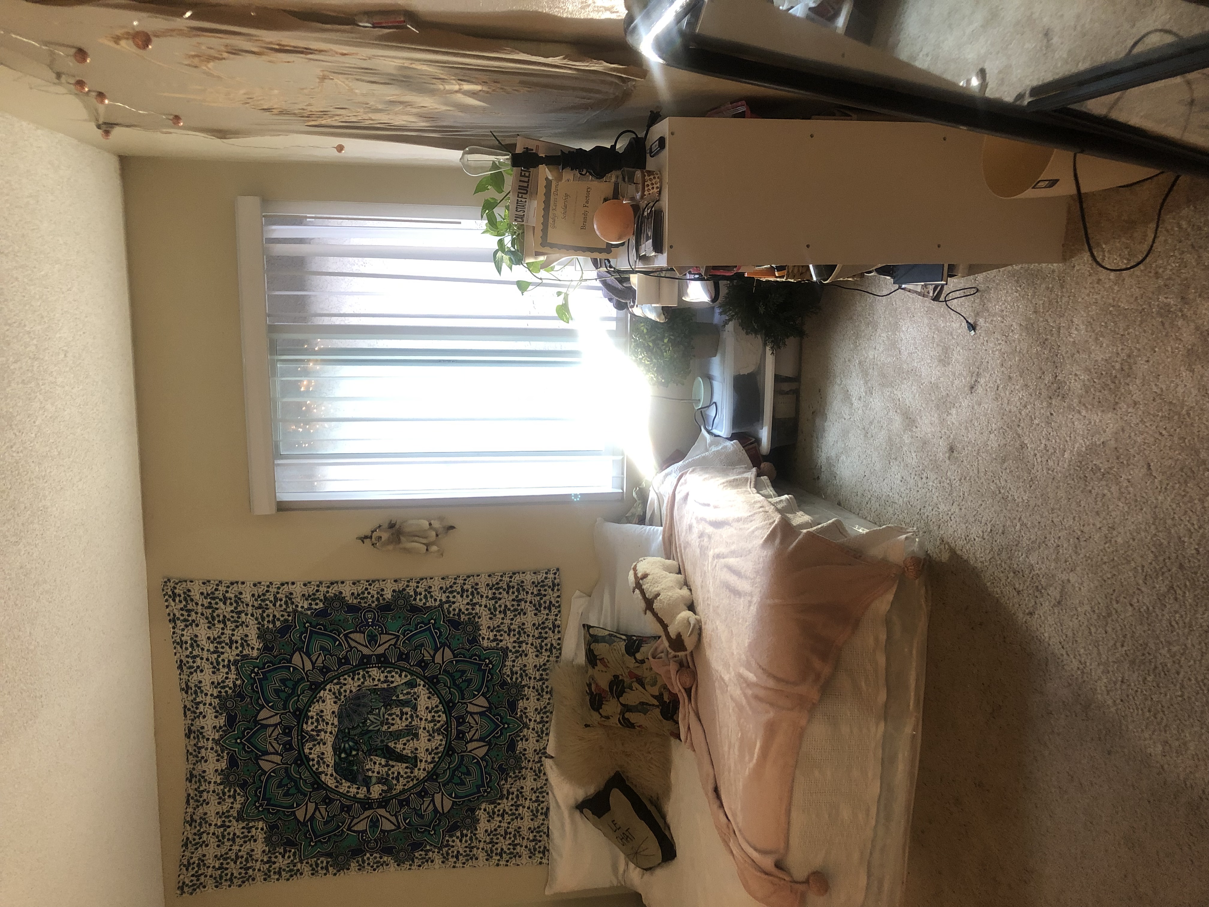 California State University Fullerton Subleases Rent College Pads