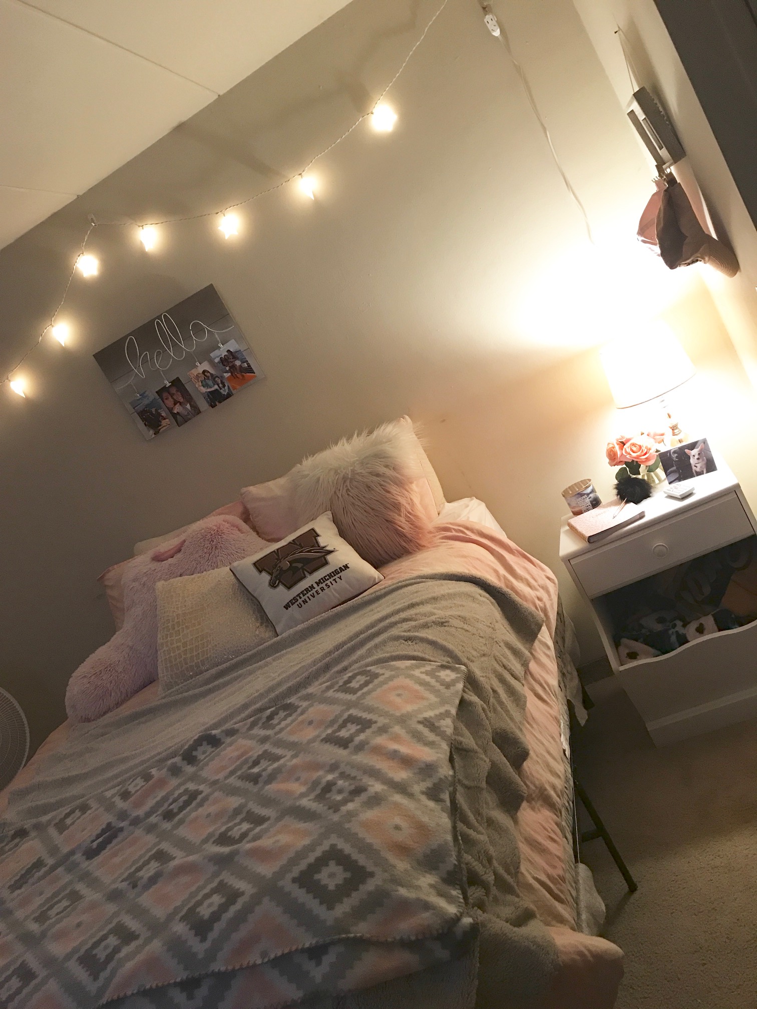 Western Michigan University Subleases Rent College Pads