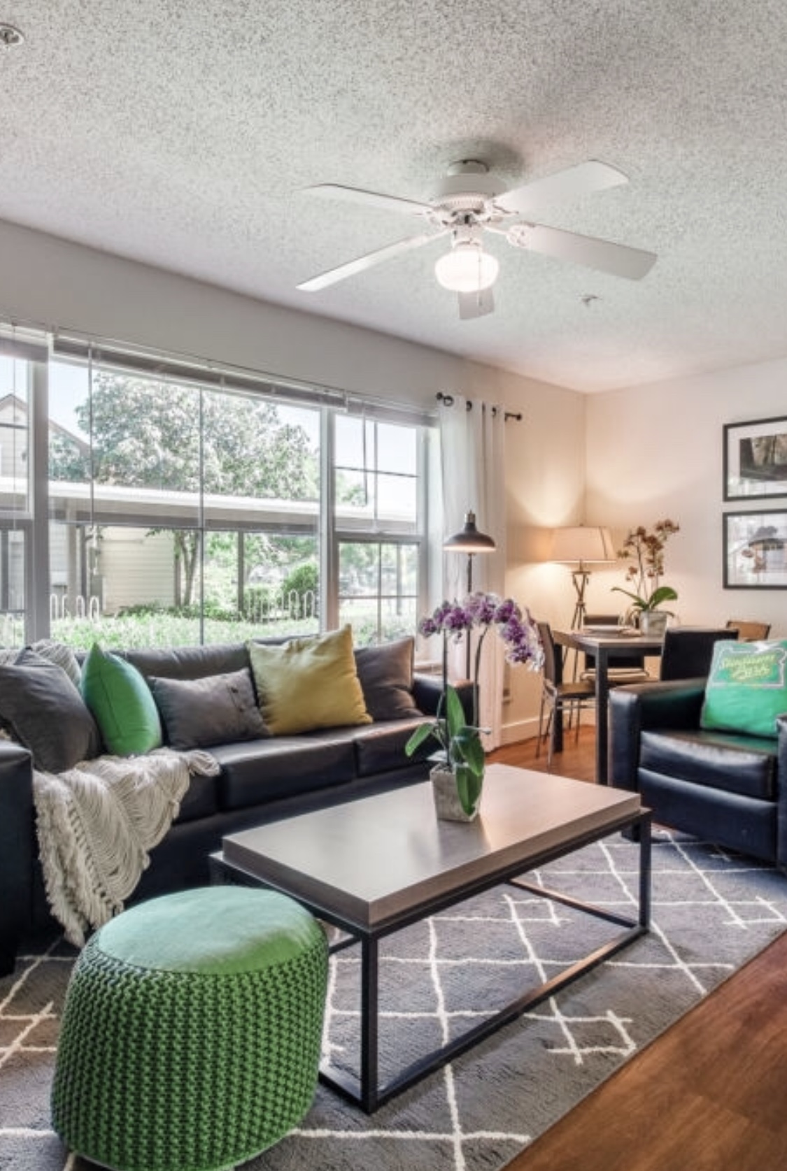 University of Oregon Subleases Rent College Pads