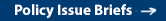 Policy Issue Briefs Button Policy Issue Briefs Button