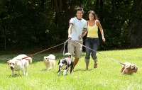 Walkies
