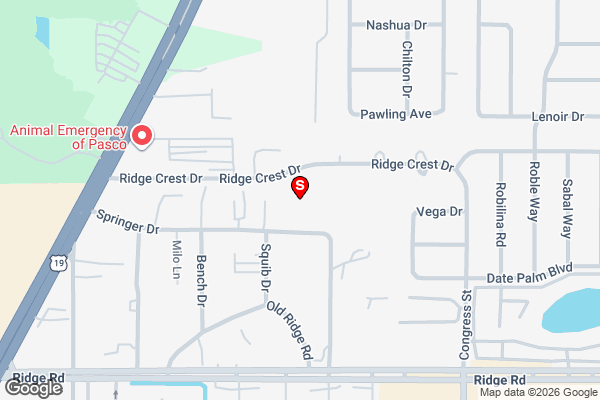 6305 Springer Drive, Port Richey, FL 34668