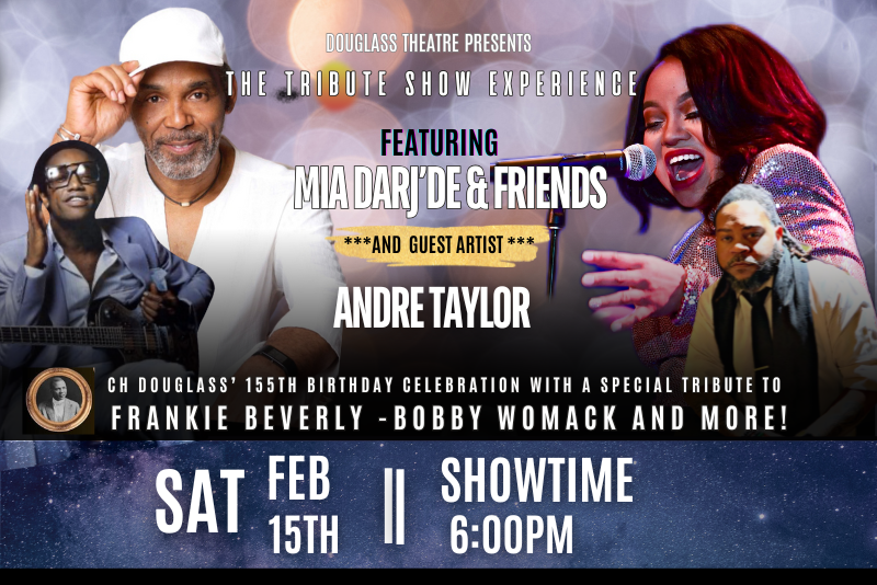 TRIBUTE SHOW EXPERIENCE 