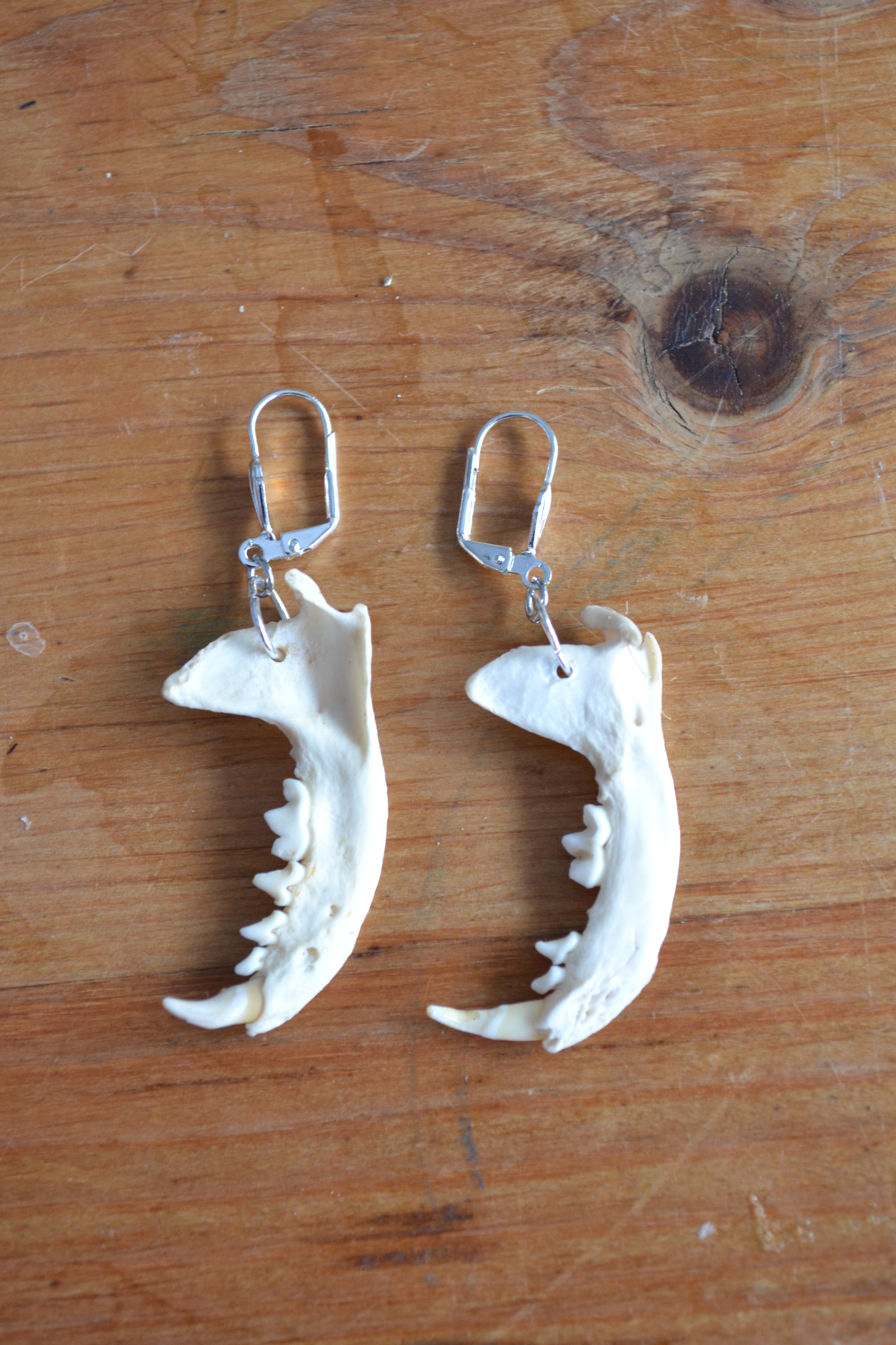 mink jaw earrings