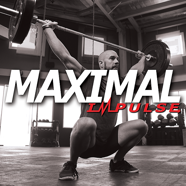 Maximal impulse forest city family ymca