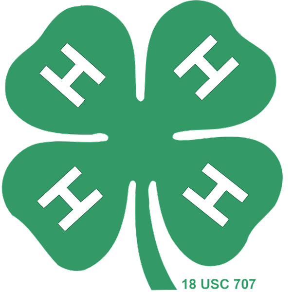 Brown County 4-H at YWCA — Education in YWCA Greater Green Bay 230 S Madison St Green Bay, WI 54301