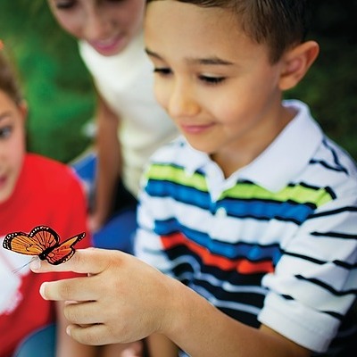 Mini Explorer’s Summer Camp – Kettle Moraine YMCA