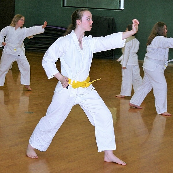 Martial Arts Monroe County YMCA