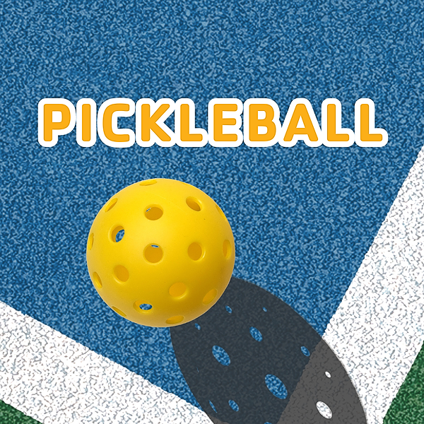 Pickleball Open Play and Lessons at Sinking Spring YMCA