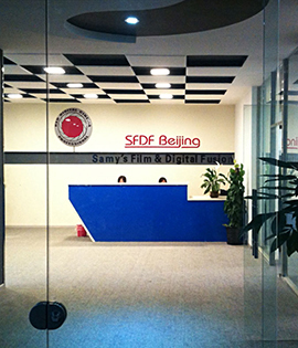 Service_centers_primary_sfdf