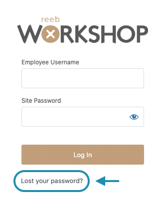 Reeb Workshop Reset Password