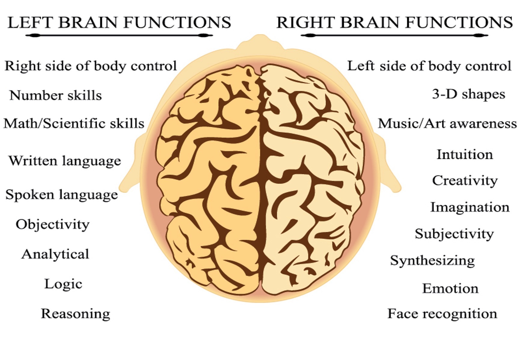 DÉPRESSION : La pupille indique la réponse à la stimulation - Neuro Blog