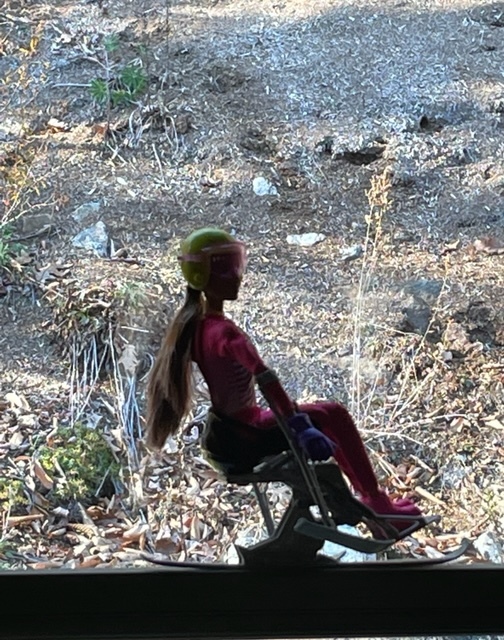 Para-Alpine Skier Barbie