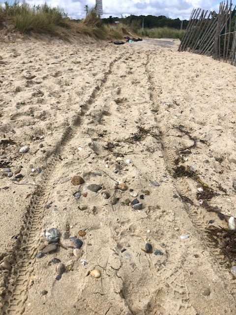 path in martha's vineyward