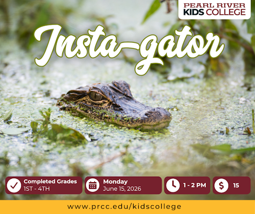 Insta-gator Flyer