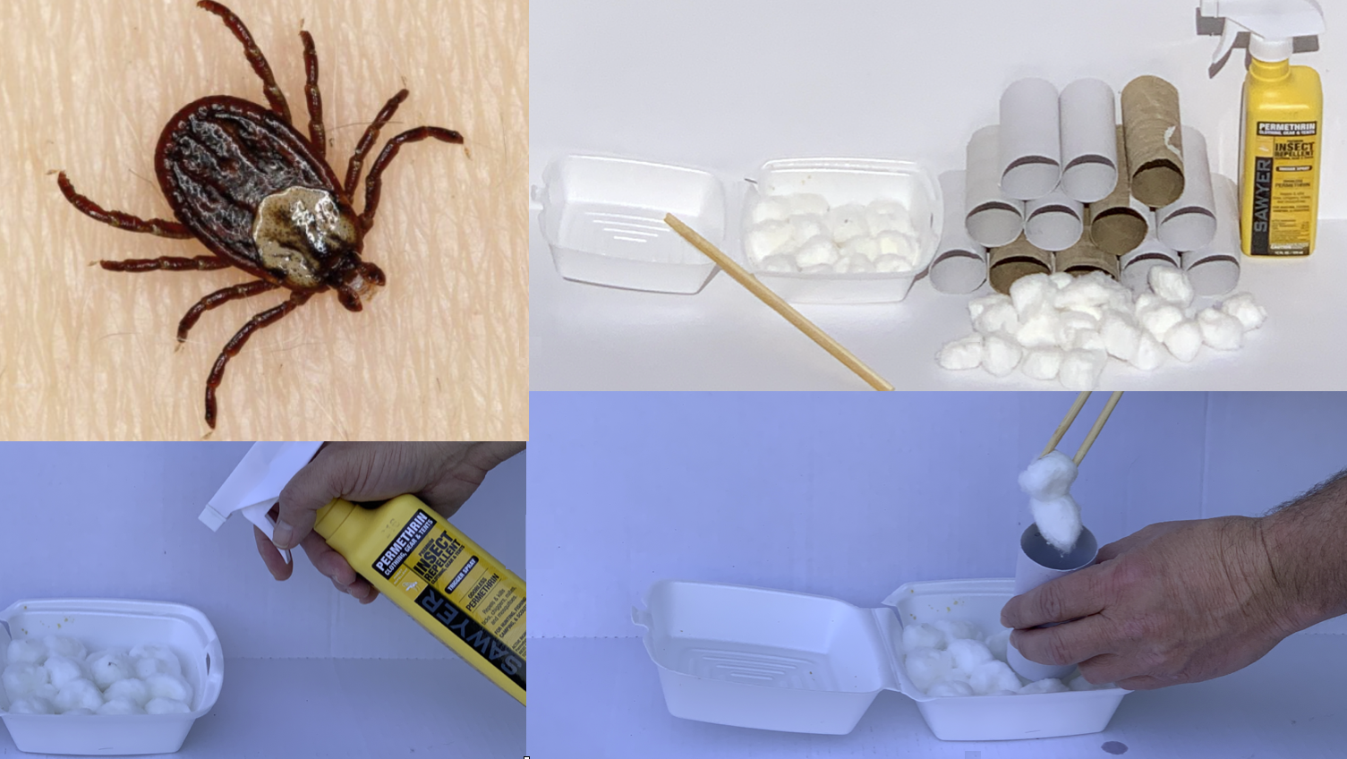 Simple Way to Get Rid of Ticks from Your Yard Mason Dixon Home Buyers