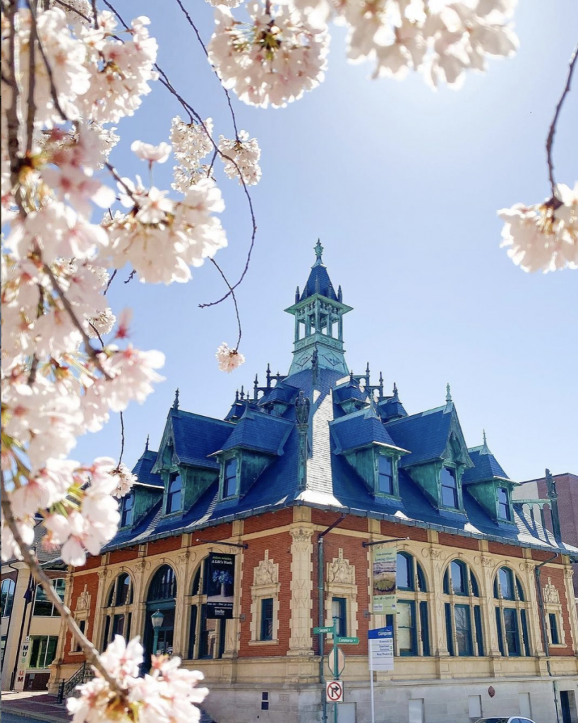 Clarksville's Premier Short Term Rentals Clarksville Vacations