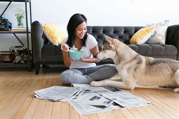 Rental-Property-and-Pets-1