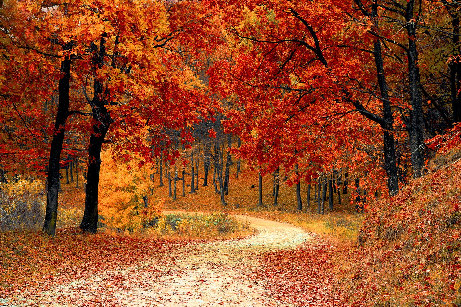 Fall is Here and Winter is Coming!