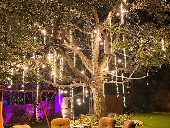 Tranquility Lighting - 72 Drop Tree Kit Complete