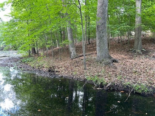 BEECHWOOD