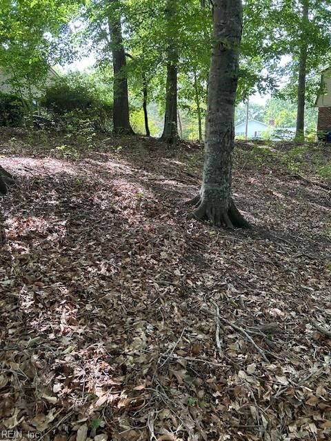 BEECHWOOD