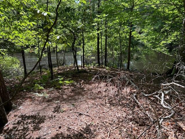 BEECHWOOD