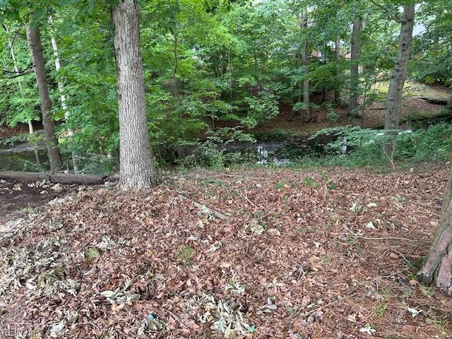 BEECHWOOD