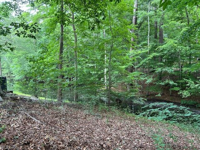 BEECHWOOD