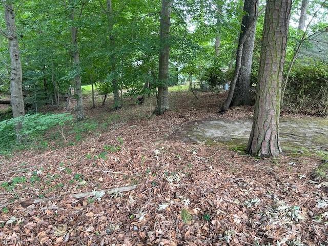 BEECHWOOD