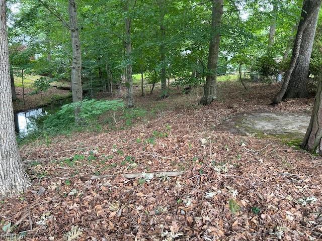 BEECHWOOD