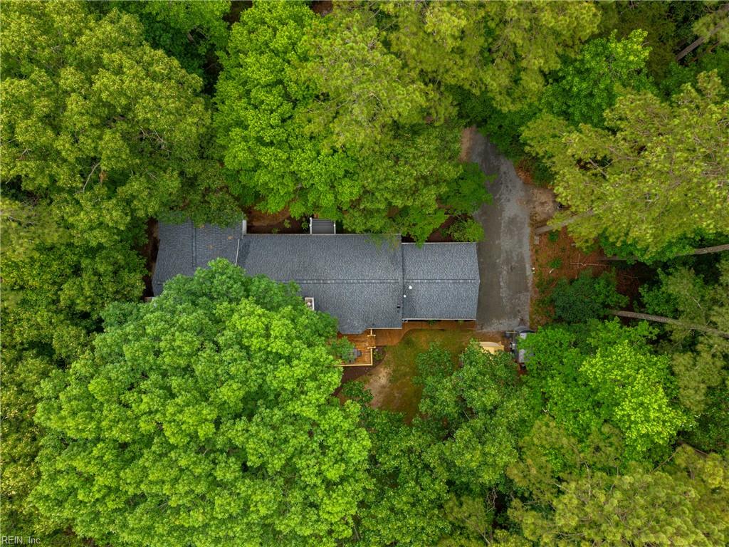 PINE MILL