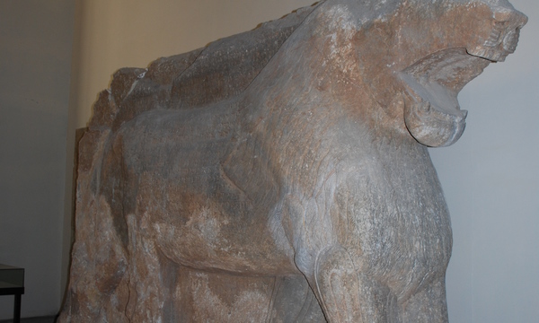 Mcm qais rashid visit ds may08 %28158%29