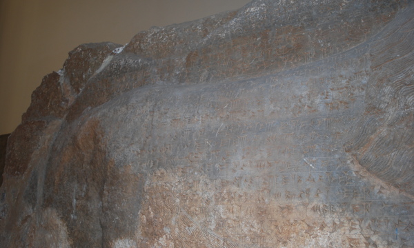 Mcm qais rashid visit ds may08 %28162%29