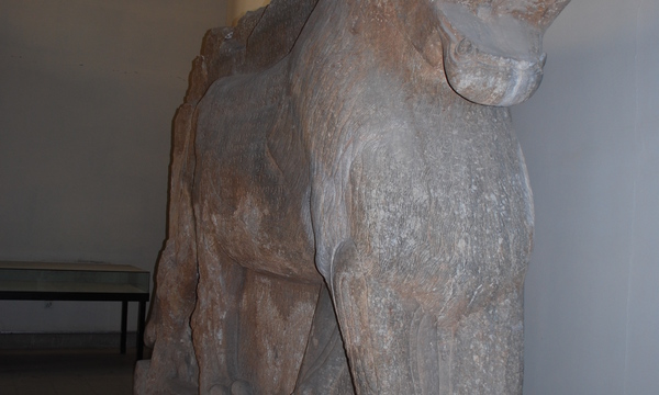 Mcm qais rashid visit ds may08 %28166%29