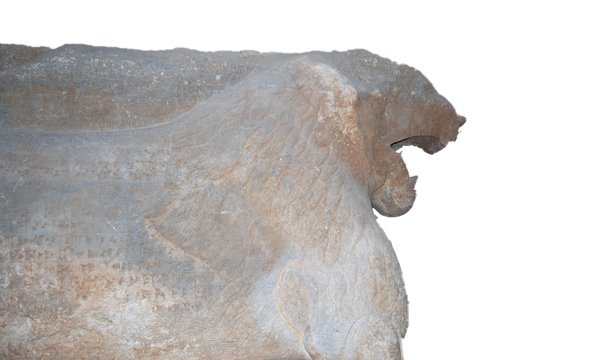 Mcm qais rashid visit ds may08 %28160%29