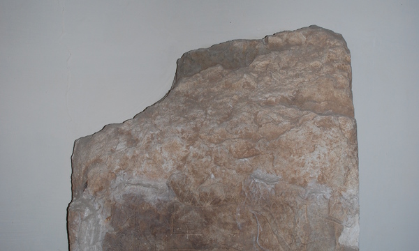 Mcm qais rashid visit ds may08 %2899%29