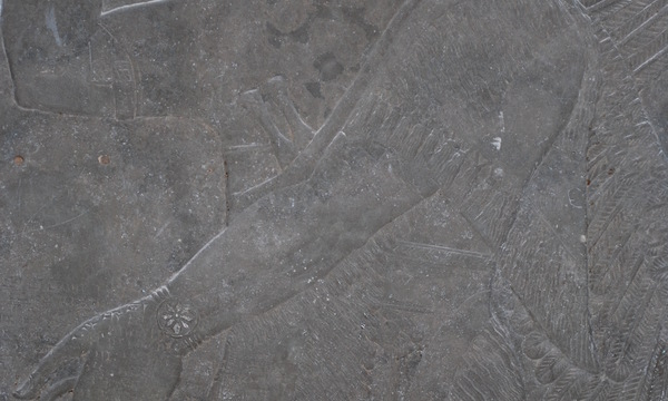 Mcm qais rashid visit ds may08 %28138%29