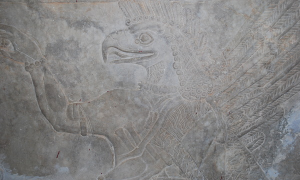 Mcm qais rashid visit ds may08 %28174%29