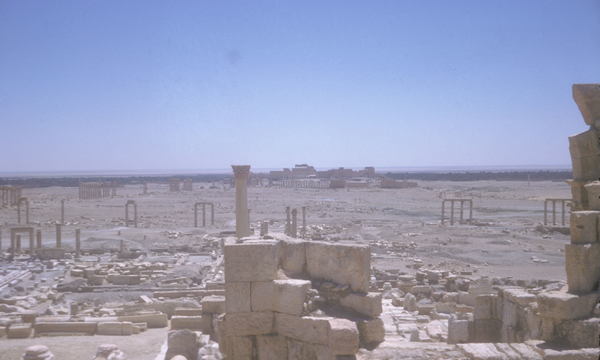 Image13