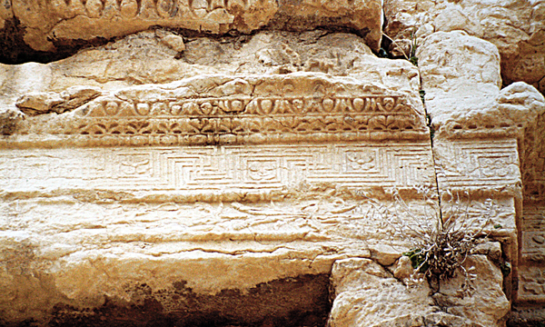 Palmiratbel internoadytonn fregioarch 1993